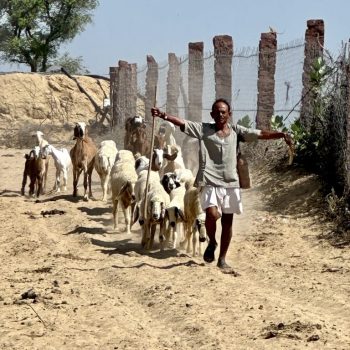 Authentic village life experience near Osian desert safari Jodhpur Rajasthan